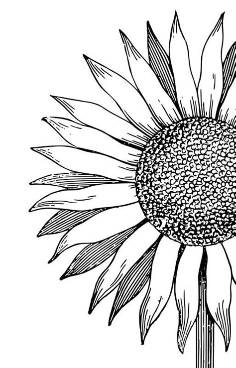 I went over both with peach and blended with the colorless blender. Pin on Coloring Pages