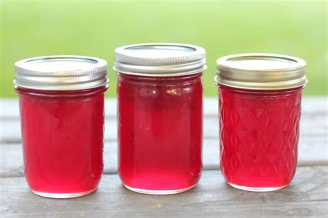 10 Easy Homemade Jelly Recipes - Creative Homemaking
