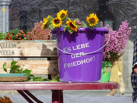 Teppich könig, in der römerstraße 156 in bonn zentrum, hat am samstag 6 stunden und 30 minuten geöffnet. Friedhofsgärtner-Genossenschaft Bonn e.G. - Aktuelles