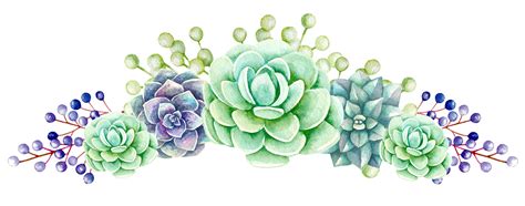 Clipart Rose Succulent Clipart Rose Succulent Transparent Free For