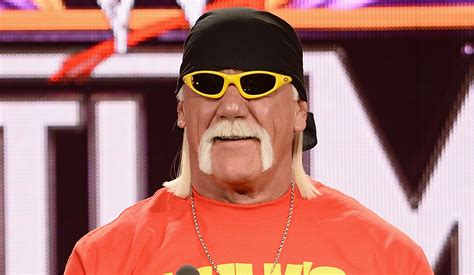 Hulk Hogan Has Good News About Ric Flair Hulk Hogan Newsies Ric
