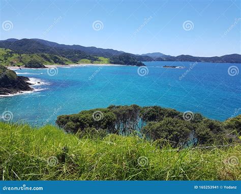 A Beautiful Bay At Oakura New Zealand Stock Image Image Of Oakura
