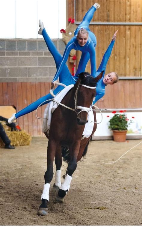 Pin By Hannah Roberts On Vaulting Horse Vaulting Vaulting Equestrian