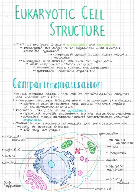 Short notes on animal cell culture. here are some AS biology notes I made yesterday on ...