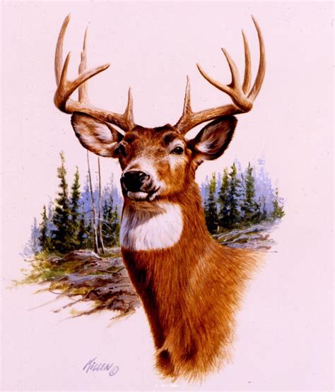 Prize Buck Deer Painting Deer Artwork Wildlife Paintings
