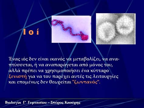 Savesave θεματα βιολογιασ γ ταξησ. ΦΥΣΙΚΕΣ ΕΠΙΣΤΗΜΕΣ ΚΑΙ ΕΚΠΑΙΔΕΥΣΗ: ΒΙΟΛΟΓΙΑ
