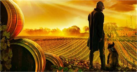Star Trek Picard 10 Questions We Want Answered About The