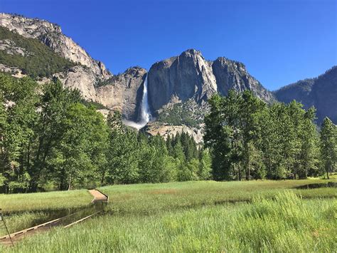 The Yosemite Peregrine Lodge Hikes In Yosemite Valley Cooks Meadow