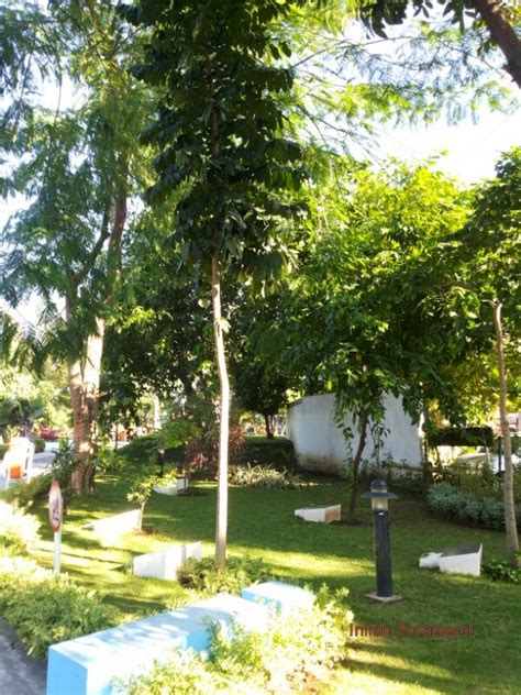 Inilah Surabaya!: TAMAN EKSPRESI