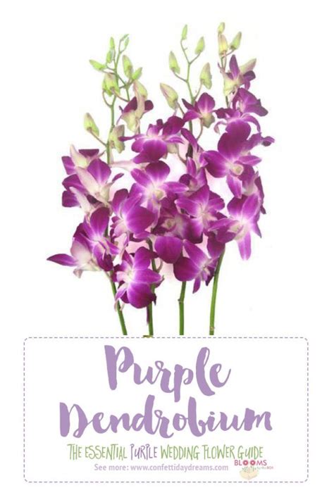 Looking For Purple Wedding Flower Names With Pics From Dark Purple