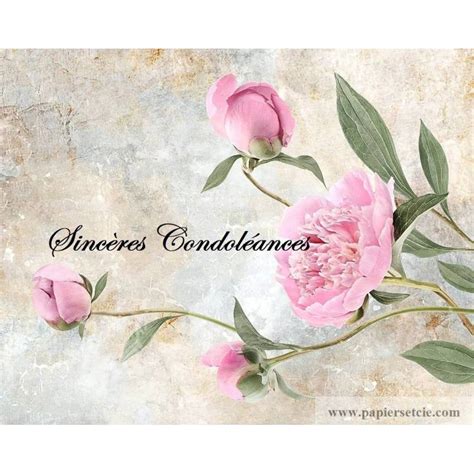 Carte Condoléances Bouquet de Pivoines roses