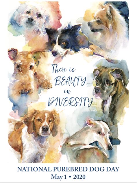 Dog lovers know that every day is dog appreciation day, but there is only one actual national dog day, and it's today, thursday, aug. National Purebred Dog Day Official Poster for 2020 ...