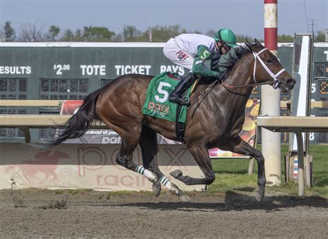 Día de Preakness en Parx Racing — The Pennsylvania Horse Racing Association
