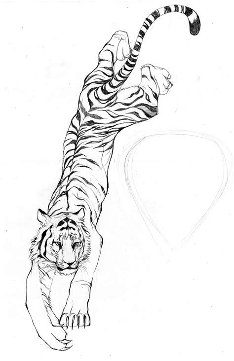 This Is The Full Tiger Drawing With The Neck Cut Out As Reference For