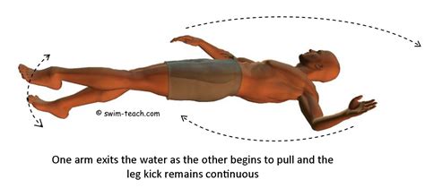 Basic Backstroke Swimming Techniqueexplained In Simple Stages