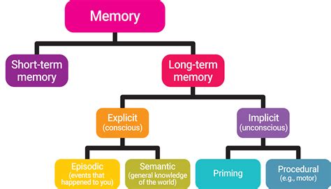 Types Of Memory Sensory Memory Short Term Memory Stm Or “working Memory” Long Term Memory