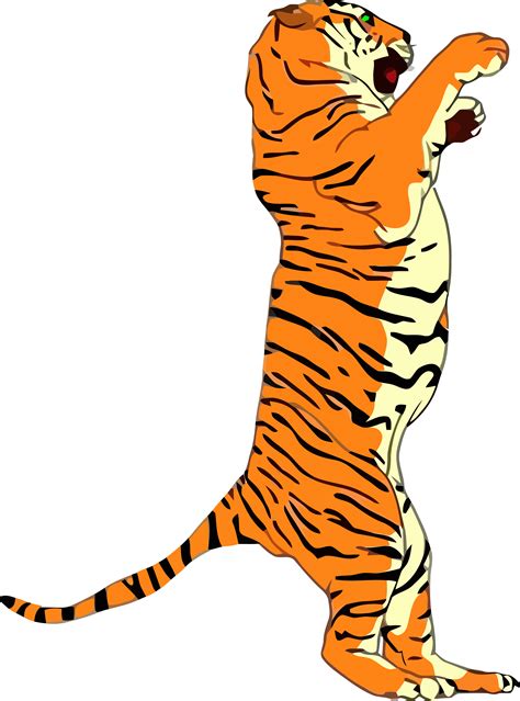 Standing Tigger Clipart Png Image Download Tiger Standing Up Drawing