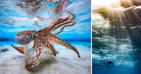 Top 10 Underwater Photography Mistakes And How To Fix
