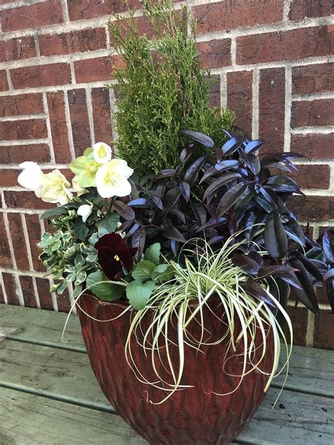 Diy Winter Container Garden That Plays With Foliage Texture And Color
