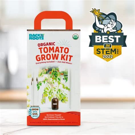 Do Tomato Plants Grow Back Every Year