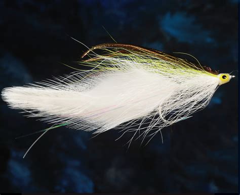The Complete Guide To Freshwater Striped Bass Fly Tyer