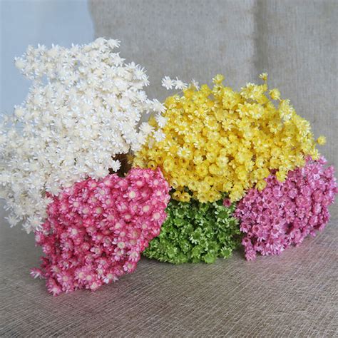 100pcs Lovely Mini Daisy Decorative Dried Flowers Small Star Flower