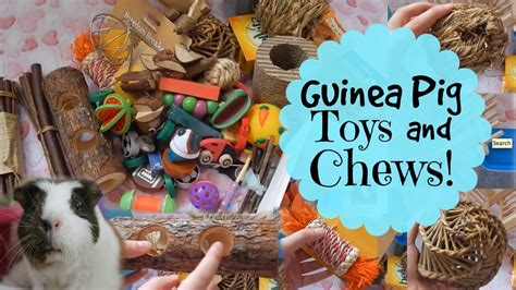 Homemade Guinea Pig Chew Toys Wow Blog