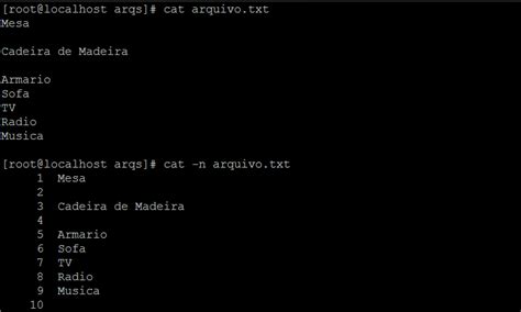 Comando Cat Sistema Linux