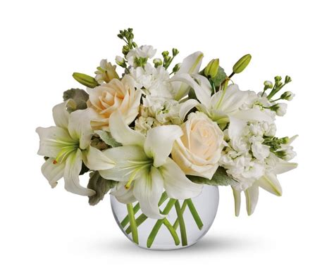 815965 Bouquets Roses Lilies Vase White Background Rare Gallery