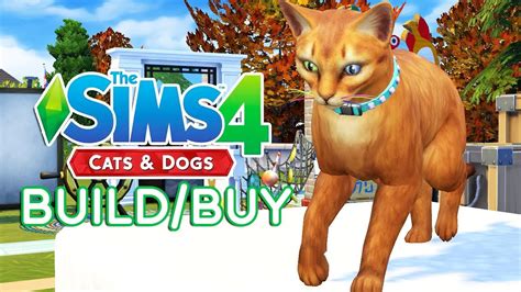 The Sims 4 Cats And Dogs Expansion Pack Overview Buildbuy Youtube