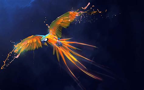 Hd Wallpaper Abstraction Background Bird Paint Wings Feathers