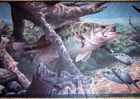 48 Free Bass Fishing Wallpaper Wallpapersafari