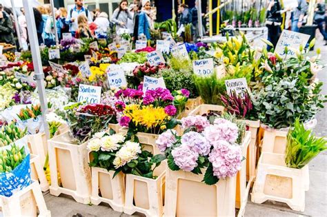 Who sells flowers and plants? Flower Market in Amsterdam | Amsterdam.info