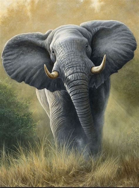 Pin By Radhika Vora On Artwork Elephants Elephant Photography