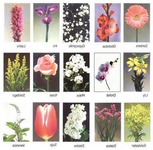 Types Of Flowers Names And Photos