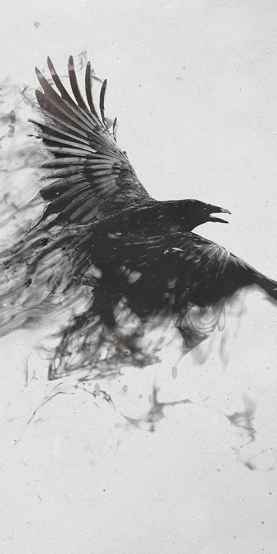 Android Best Wallpapers Black Smoke Crow Android Best