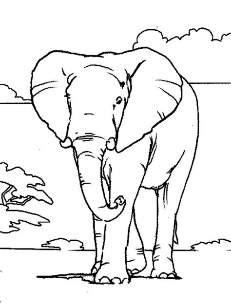 Coloriage Elephant Gratuit à Imprimer