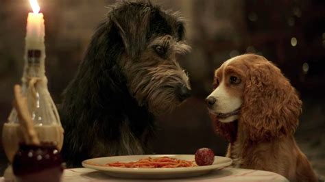 Disney Releases Trailer For Live Action ‘lady And The Tramp Fox 5