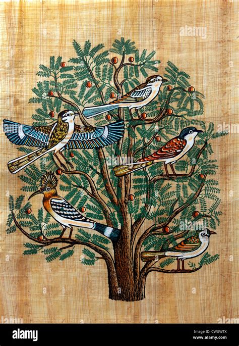 Egyptian Papyrus Painting Of The Tree Of Life Stock Photo 50158666 Alamy
