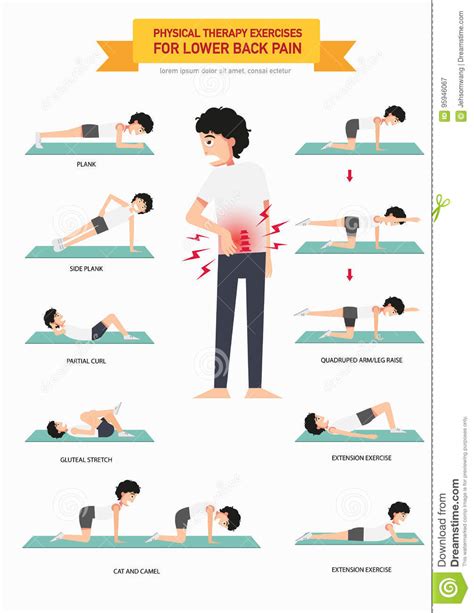 Physical Therapy Exercises For Lower Back Pain Infographic Stock Vector