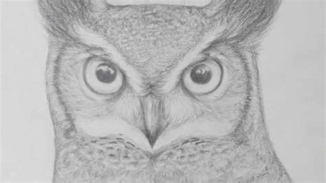 See more of realistic pencil drawing on facebook. Pencil Owl Drawing - YouTube