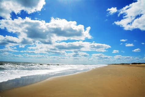 11 Best Beaches In Virginia For A Getaway Southern Trippers
