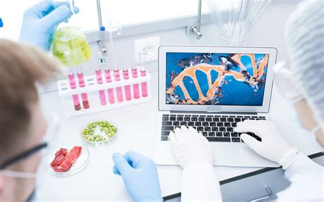 Quanto é O Exame De Dna