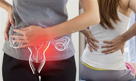 Lead researcher um consultant obstetrician and gynaecologist prof dr woo yin ling said one of the components of the. Cervical cancer symptoms: Signs of a tumour include ...