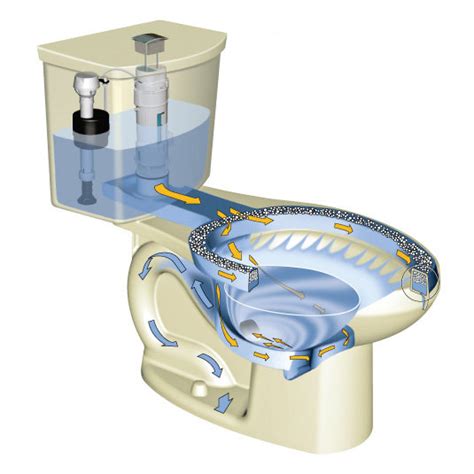 American Standard H Option Dual Flush Elongated Gpf Toilet White Kohler