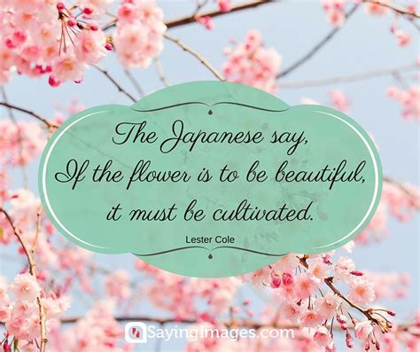 A flower does not think of competing with the flower next to it. 35 Beautiful Flower Quotes To Celebrate Life, Hope, And ...
