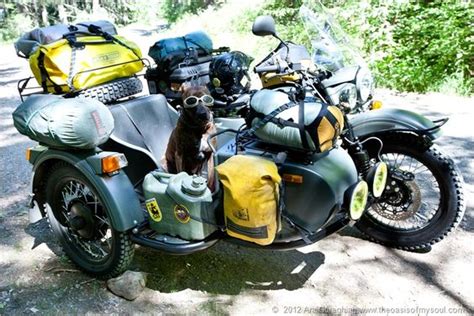 Dog Bike Sidecar And Doggies On Pinterest