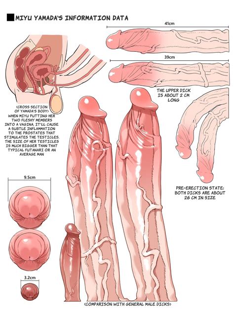 Rule Dev Anatomical Study Anatomy Anus Balls Big Penis Bladder Hot Sex Picture