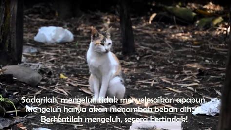 Kata kata bijak singkat padat dan menyentuh hati terbaru. Caplenk Kata Motivasi Kehidupan Singkat Tapi Bermakna - YouTube