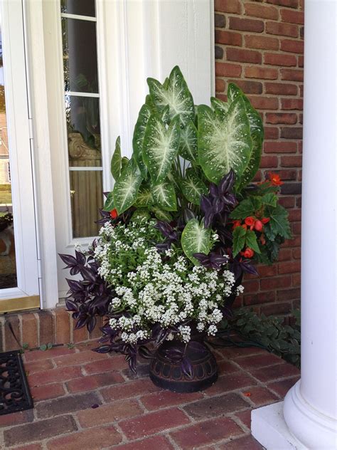 Check spelling or type a new query. 1000+ images about Landscaping front porch on Pinterest ...